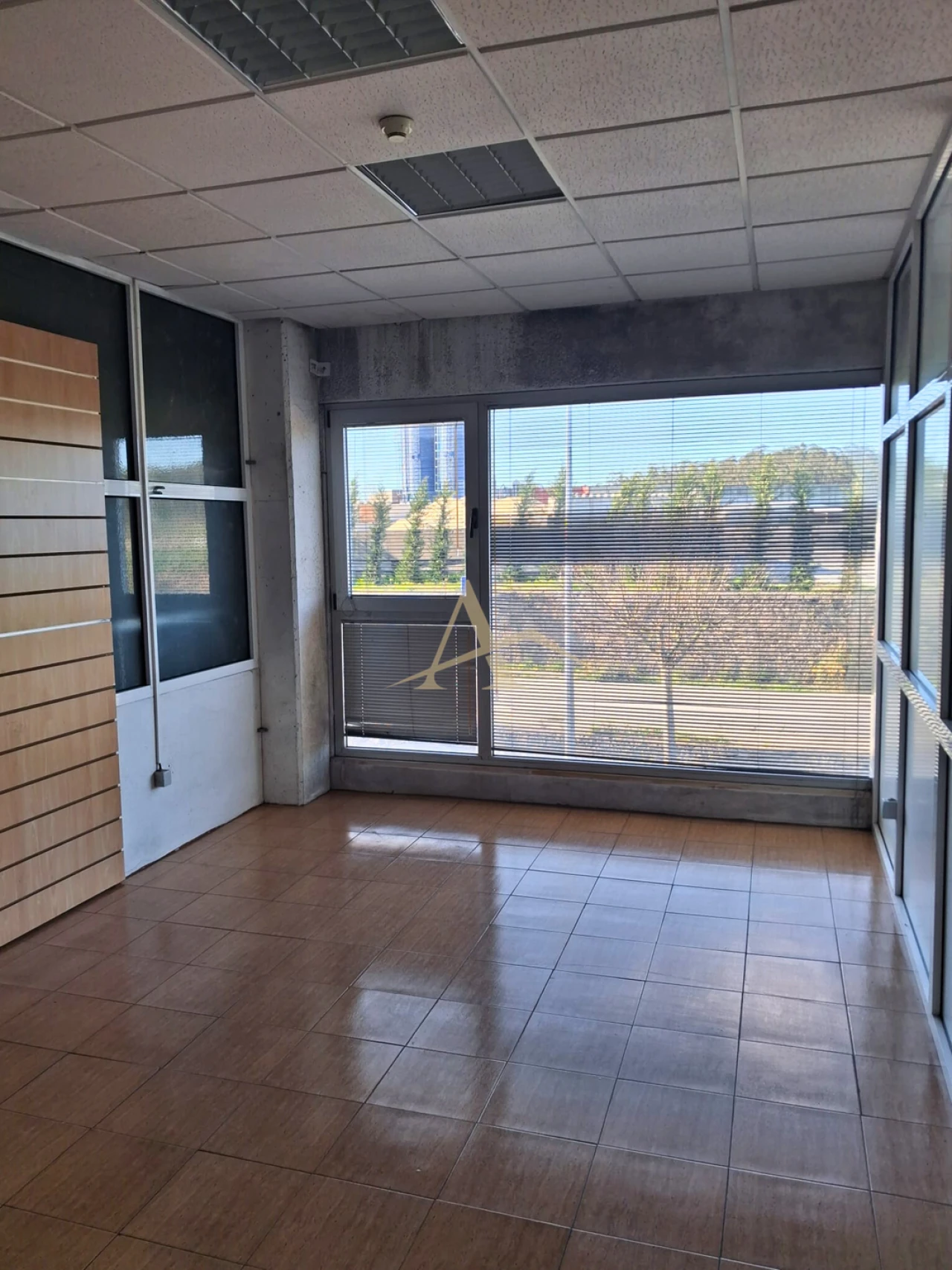 Negócio para Venda em Touguinha e Touguinhó Foto 11