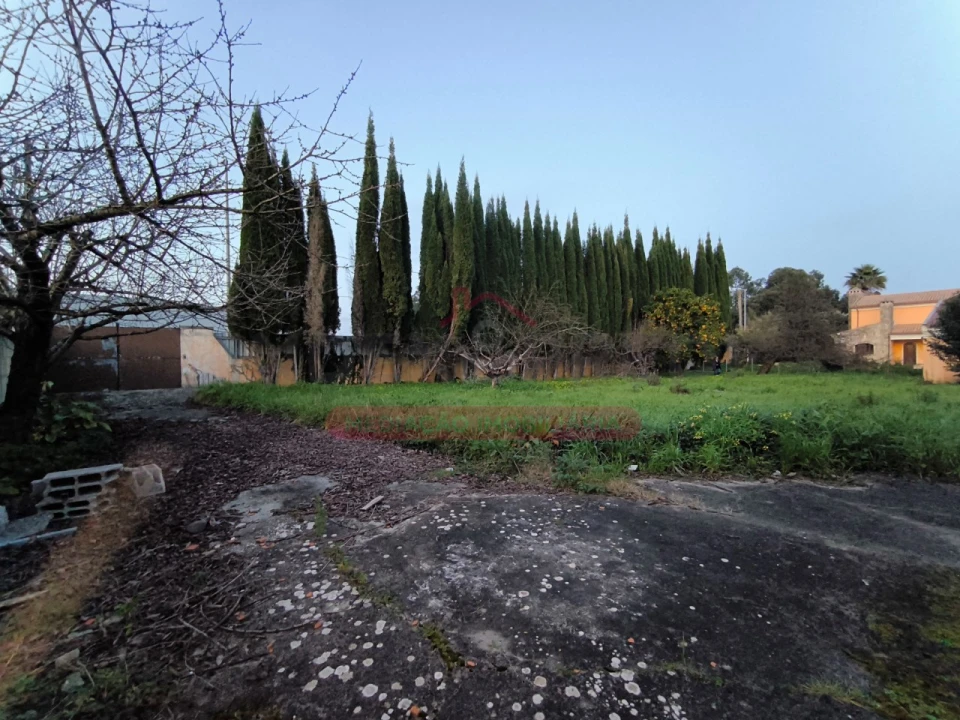 Moradia T5 para Venda em Sangalhos Foto 8