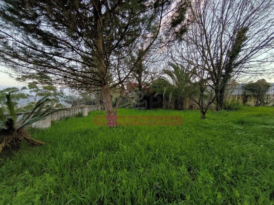 Moradia T5 para Venda em Sangalhos Foto 63