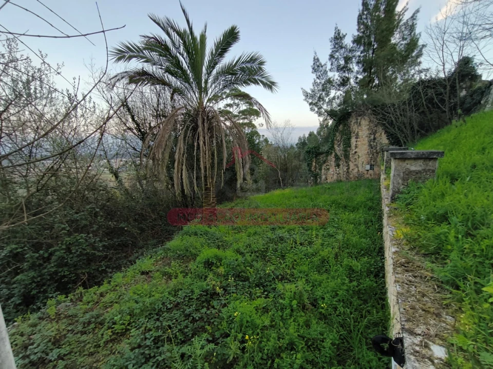 Moradia T5 para Venda em Sangalhos Foto 67