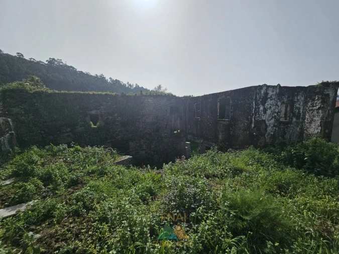 Moradia T3 para Venda em Ribeira Foto 14