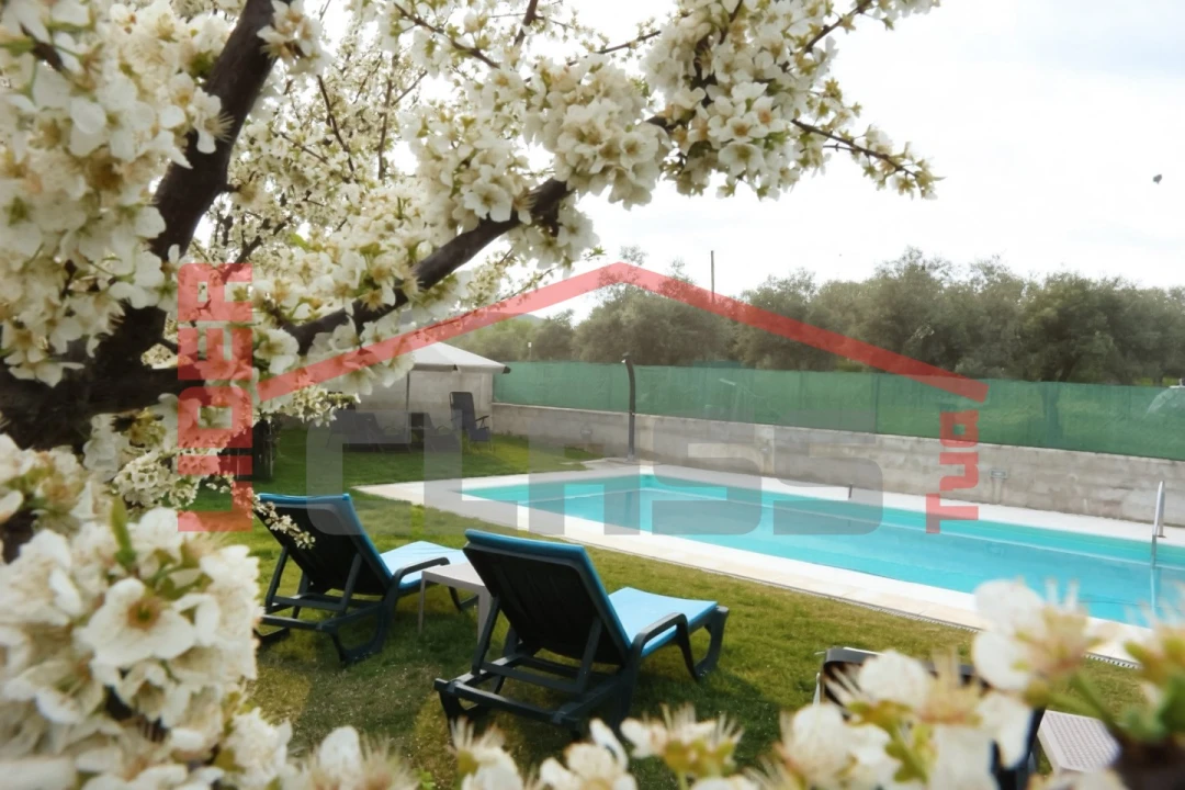 Moradia T3 para Venda em Assares e Lodões Foto 4