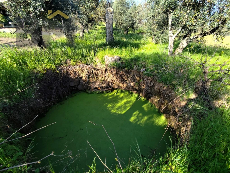 Terreno Agricola ou Rústico para Venda em Póvoa de Rio de Moinhos e Cafede Foto 3