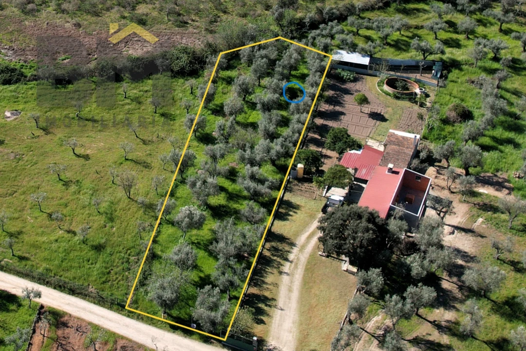 Terreno Agricola ou Rústico para Venda em Póvoa de Rio de Moinhos e Cafede Foto 2