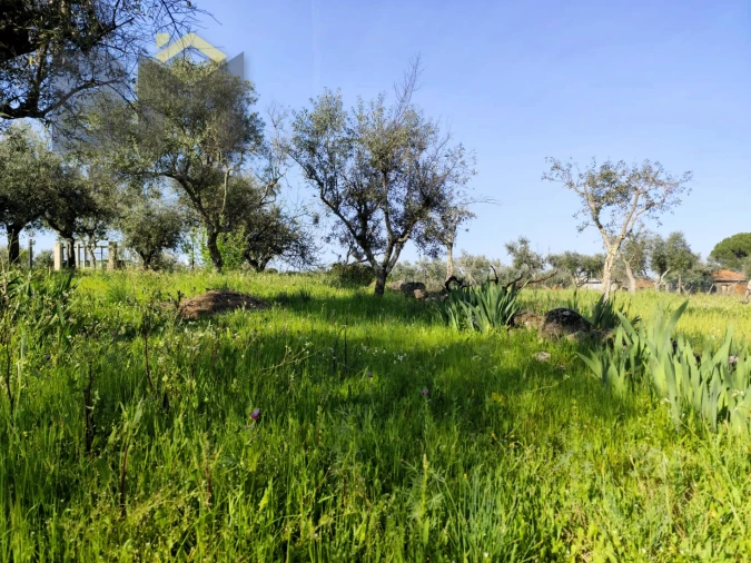 Terreno Agricola ou Rústico para Venda em Póvoa de Rio de Moinhos e Cafede Foto 6