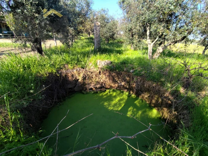 Terreno Agricola ou Rústico para Venda em Póvoa de Rio de Moinhos e Cafede Foto 8