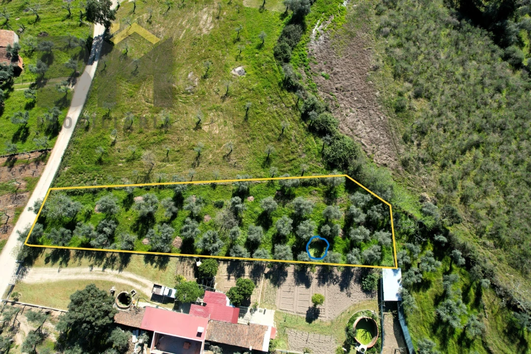 Terreno Agricola ou Rústico para Venda em Póvoa de Rio de Moinhos e Cafede Foto 10
