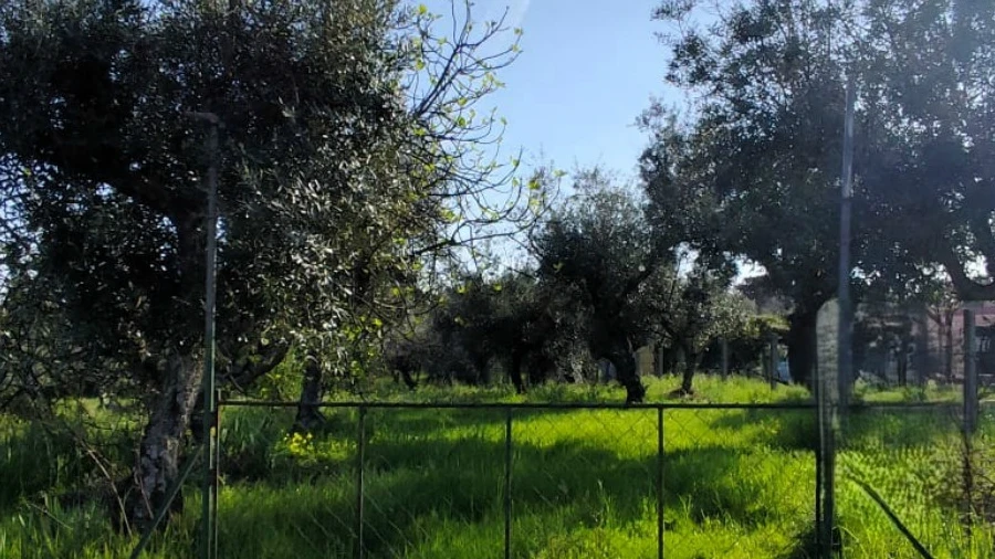 Terreno Agricola ou Rústico para Venda em Póvoa de Rio de Moinhos e Cafede