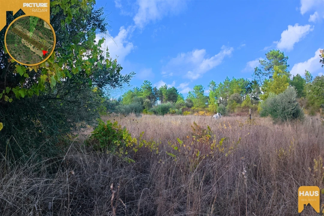 Terreno Agricola ou Rústico para Venda em Freixial e Juncal do Campo Foto 9