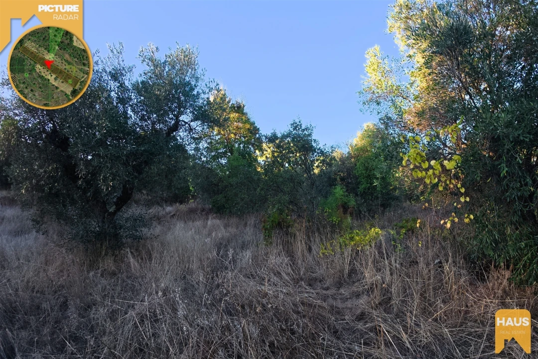 Terreno Agricola ou Rústico para Venda em Freixial e Juncal do Campo Foto 10