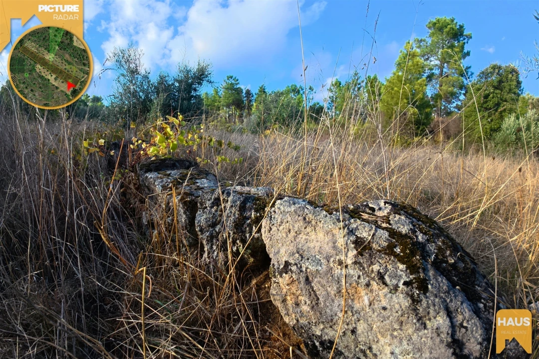 Terreno Agricola ou Rústico para Venda em Freixial e Juncal do Campo Foto 16