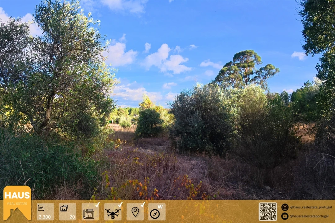 Terreno Agricola ou Rústico para Venda em Freixial e Juncal do Campo Foto 1