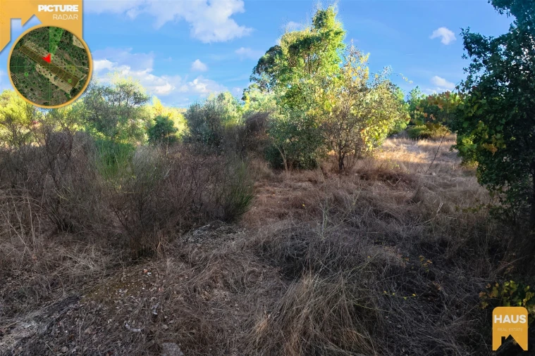 Terreno Agricola ou Rústico para Venda em Freixial e Juncal do Campo Foto 17