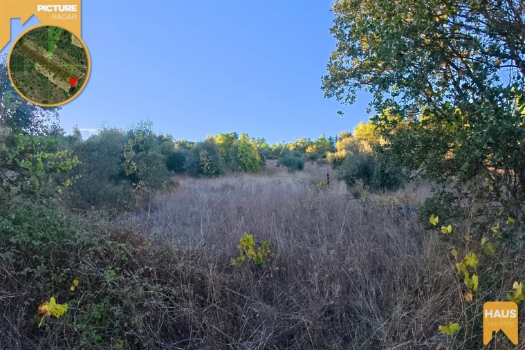 Terreno Agricola ou Rústico para Venda em Freixial e Juncal do Campo Foto 18