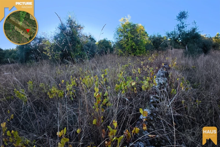 Terreno Agricola ou Rústico para Venda em Freixial e Juncal do Campo Foto 6