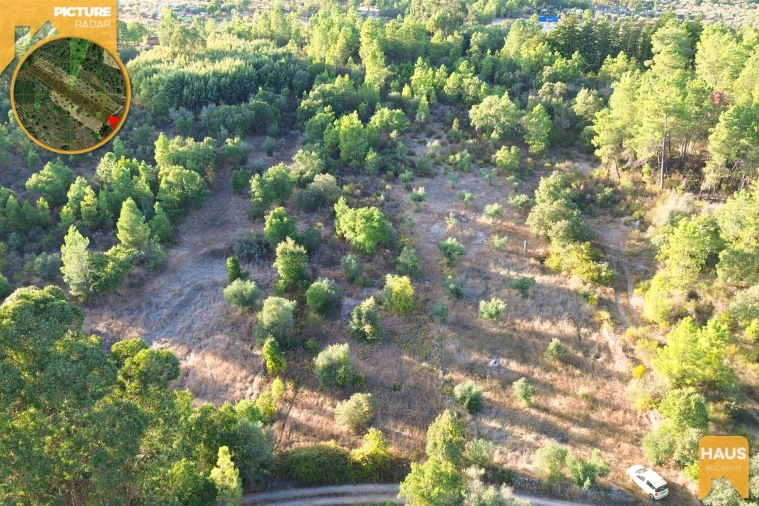 Terreno Agricola ou Rústico para Venda em Freixial e Juncal do Campo Foto 22