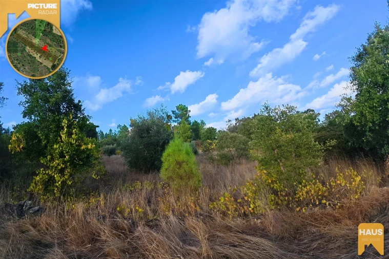 Terreno Agricola ou Rústico para Venda em Freixial e Juncal do Campo Foto 23