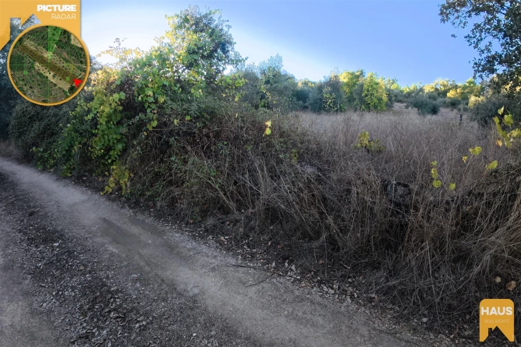 Terreno Agricola ou Rústico para Venda em Freixial e Juncal do Campo Foto 13