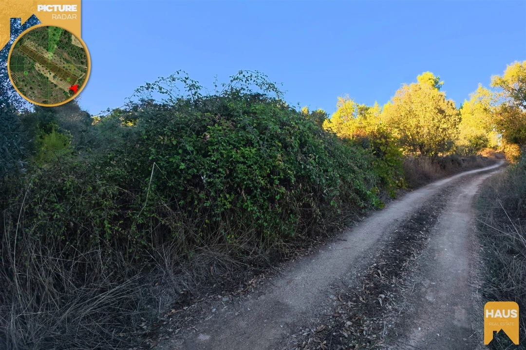 Terreno Agricola ou Rústico para Venda em Freixial e Juncal do Campo Foto 14