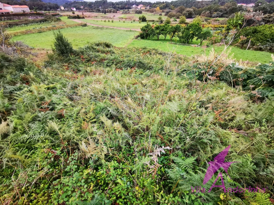Terreno para Venda em Riba de Ancora Foto 6