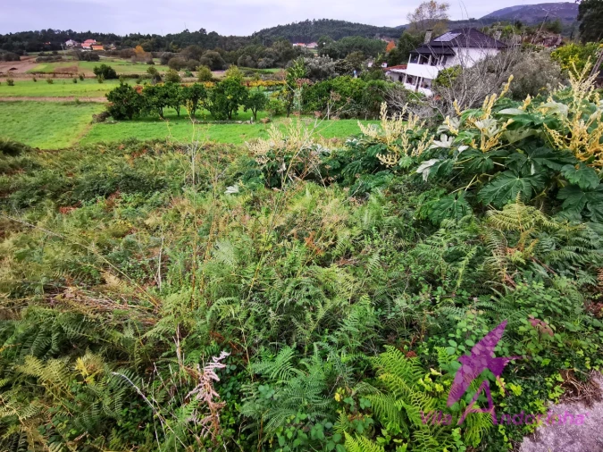 Terreno para Venda em Riba de Ancora Foto 5