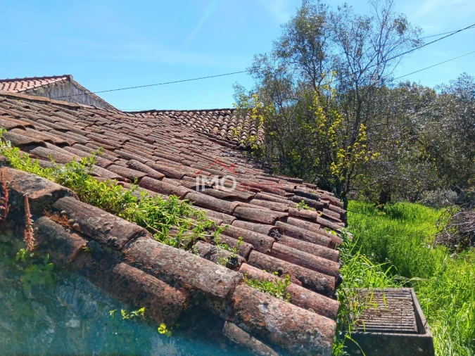 Moradia T2 para Venda em São Salvador da Aramenha Foto 8