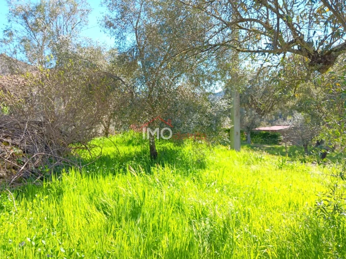 Moradia T2 para Venda em São Salvador da Aramenha Foto 15