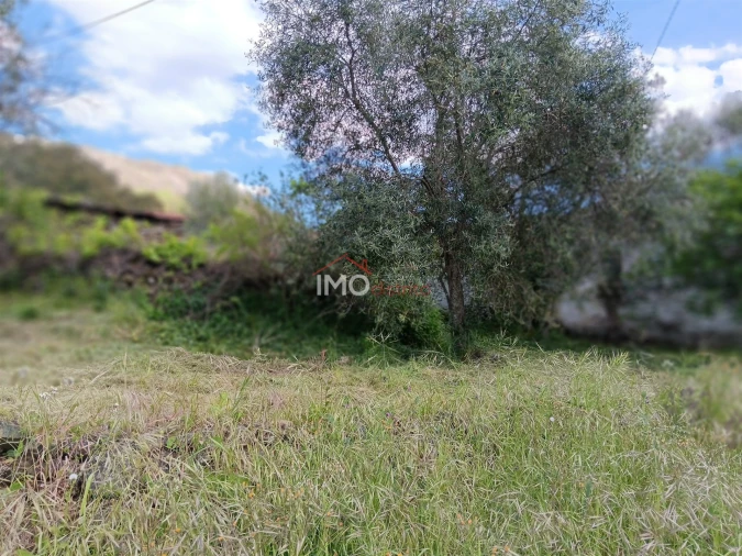 Moradia T2 para Venda em São Salvador da Aramenha Foto 5