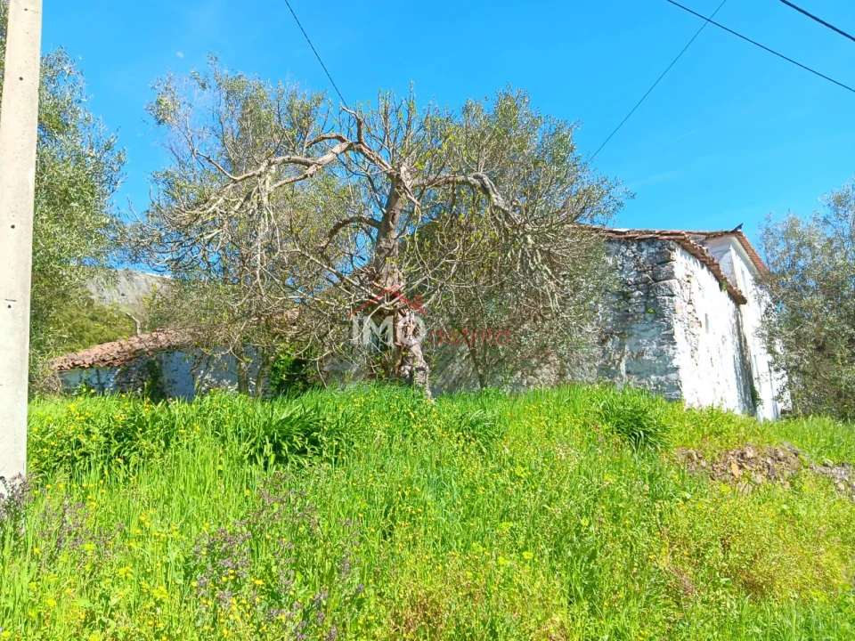 Moradia T2 para Venda em São Salvador da Aramenha Foto 4