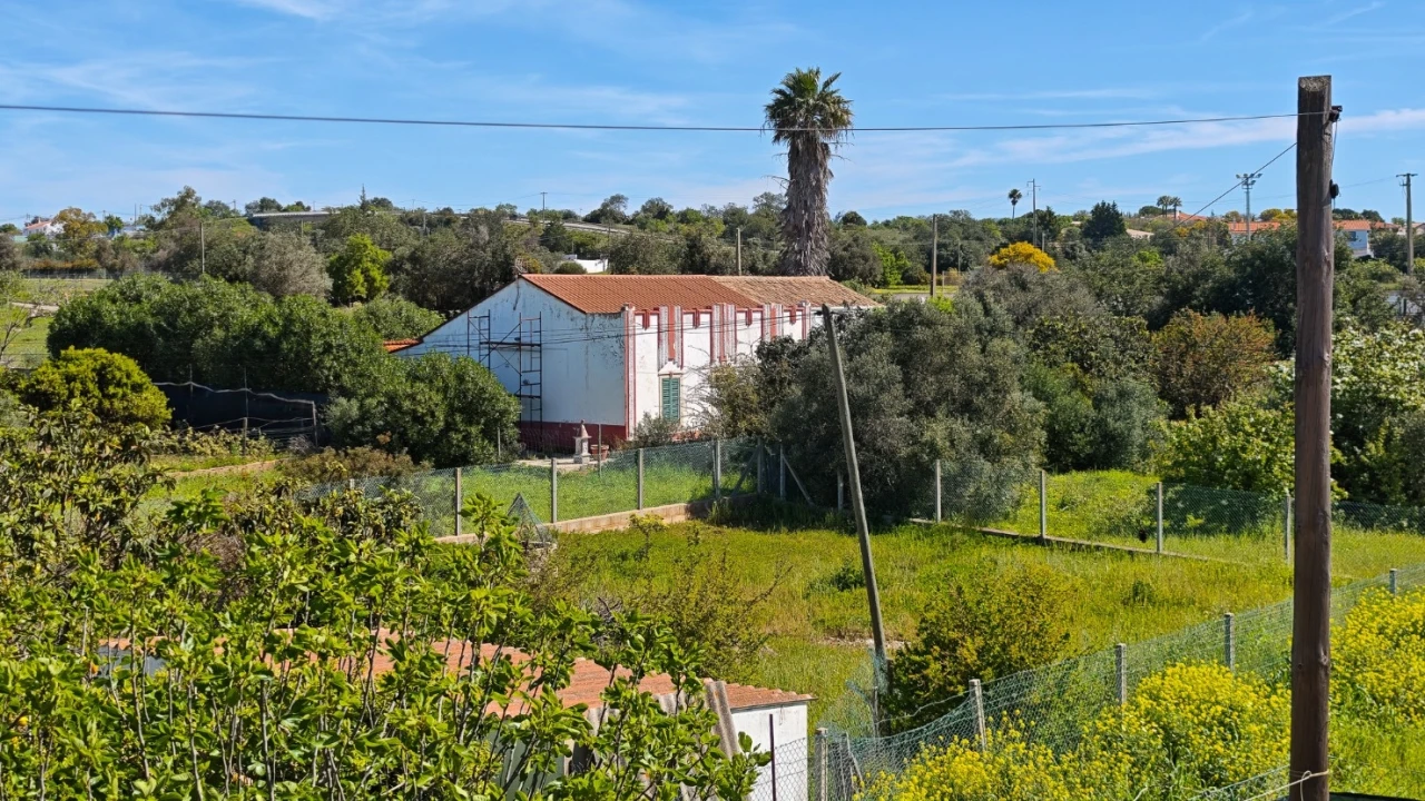 Moradia T3 para Venda em Guia Foto 38