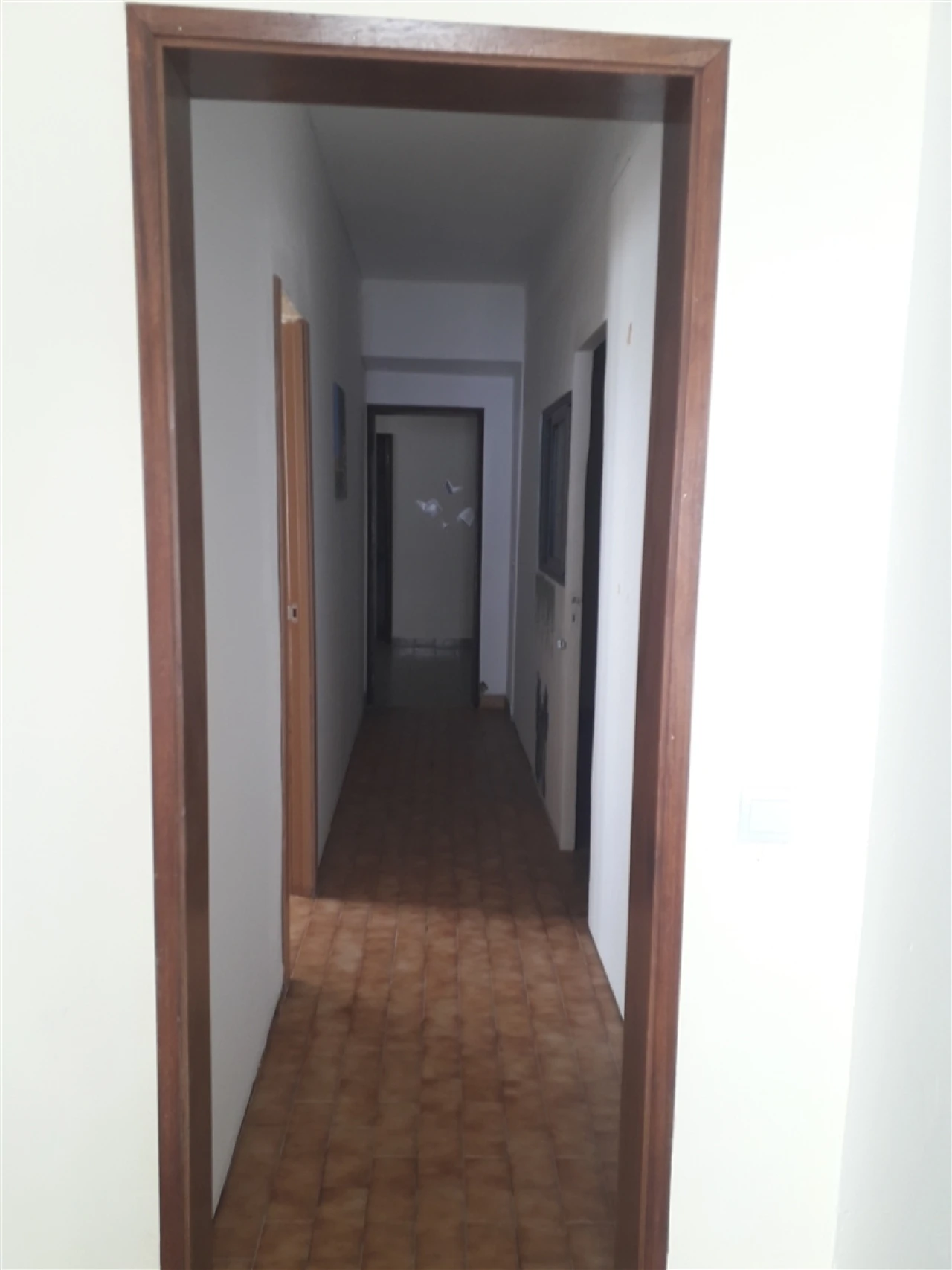 Moradia T1 para Arrendamento em Almodôvar e Graça dos Padrões Foto 3