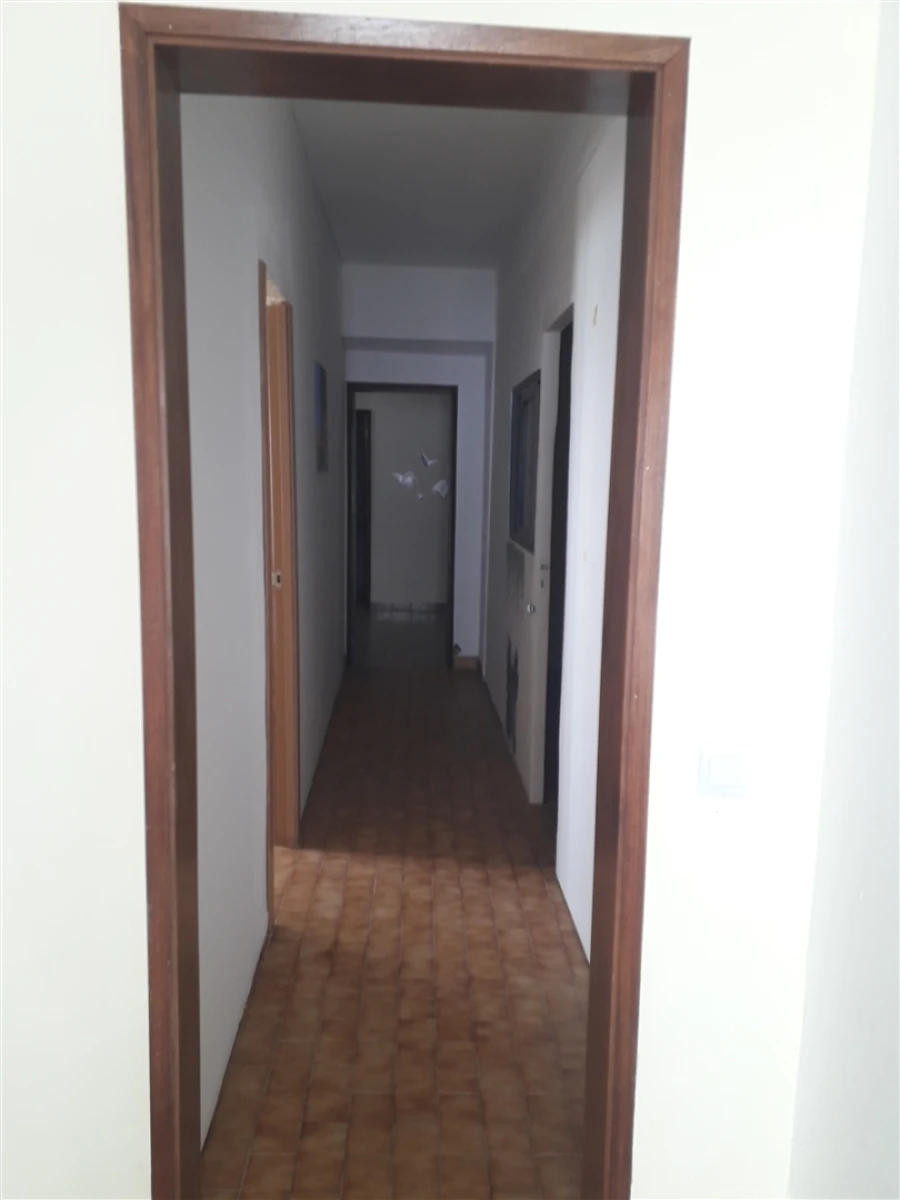 Moradia T1 para Arrendamento em Almodôvar e Graça dos Padrões Foto 3