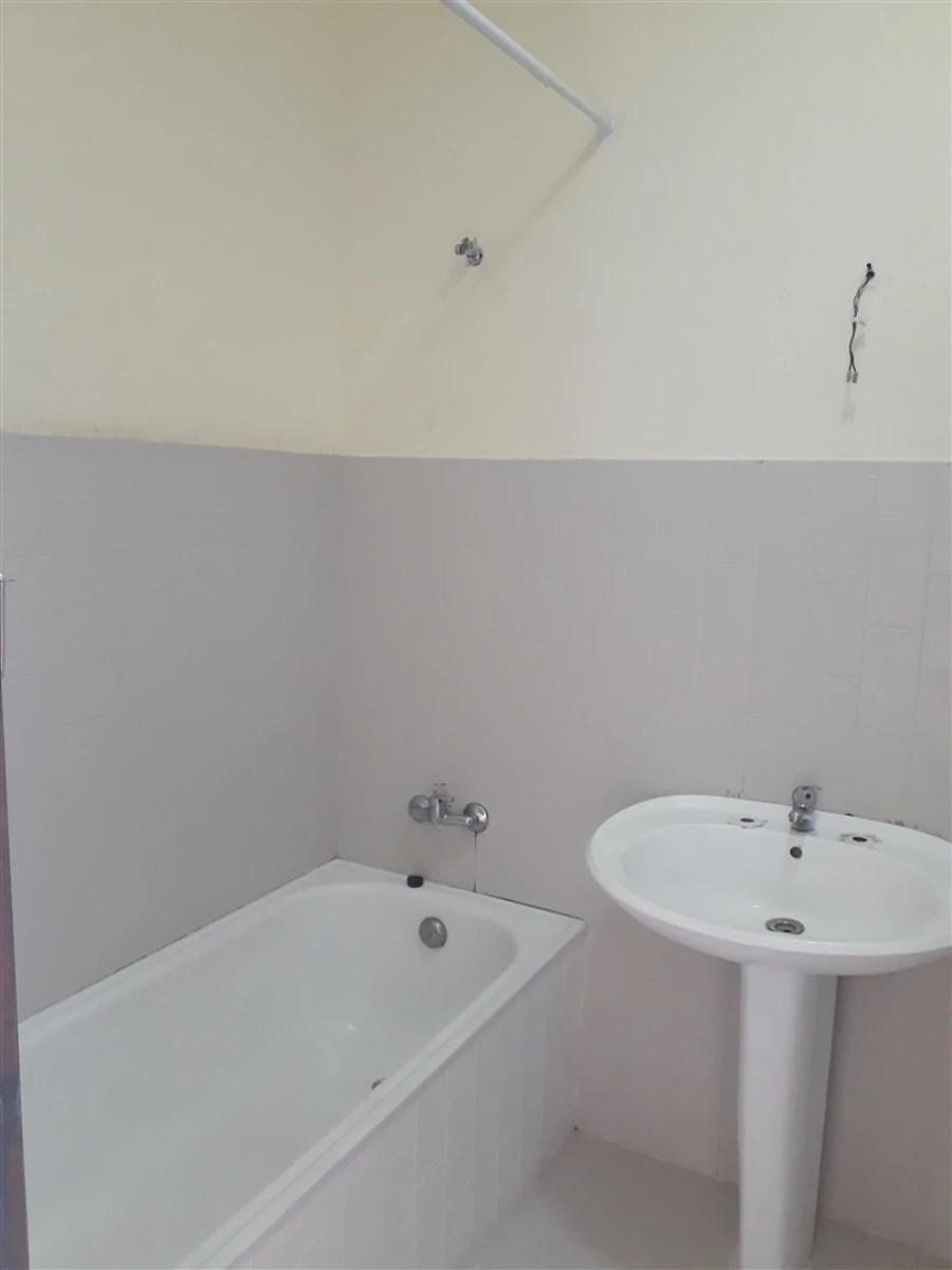 Moradia T1 para Arrendamento em Almodôvar e Graça dos Padrões Foto 13