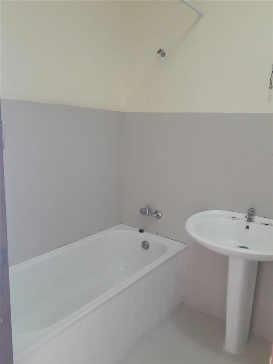 Moradia T1 para Arrendamento em Almodôvar e Graça dos Padrões Foto 15