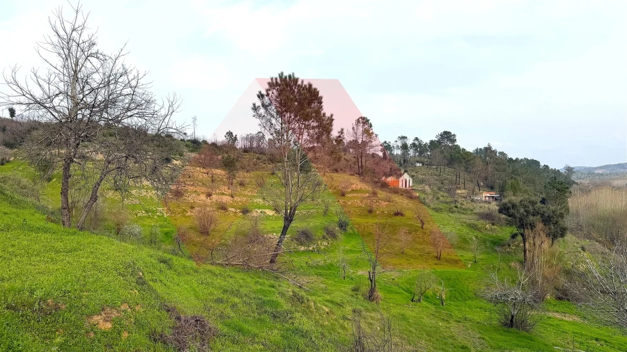 Moradia T2 para Venda em Povoa de Midões Foto 22