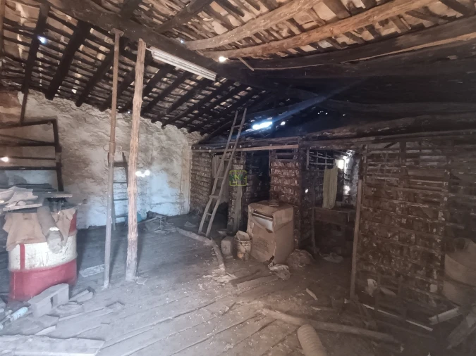 Moradia T1 para Venda em Pedrógão de São Pedro e Bemposta Foto 4