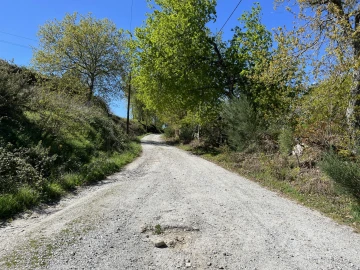 Terreno para Venda em Rio de Loba