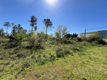 Terreno para Venda em Rio de Loba