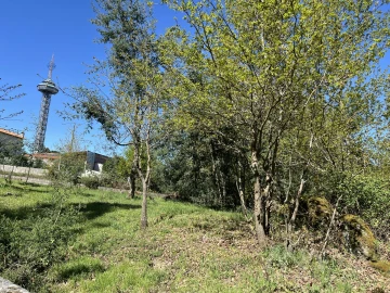 Terreno para Venda em Rio de Loba