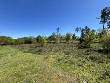 Terreno para Venda em Rio de Loba