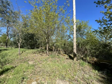 Terreno para Venda em Rio de Loba