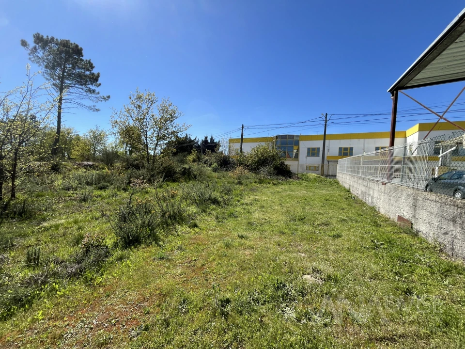 Terreno para Venda em Rio de Loba Foto 21