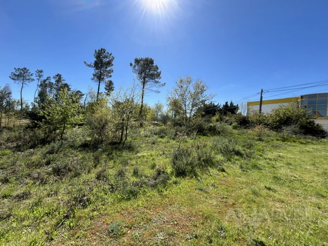 Terreno para Venda em Rio de Loba Foto 20