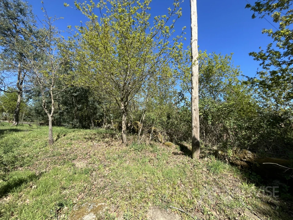 Terreno para Venda em Rio de Loba Foto 9