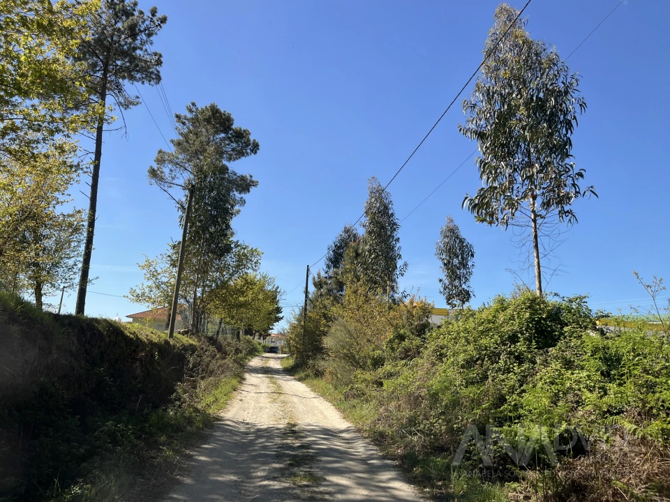 Terreno para Venda em Rio de Loba Foto 15