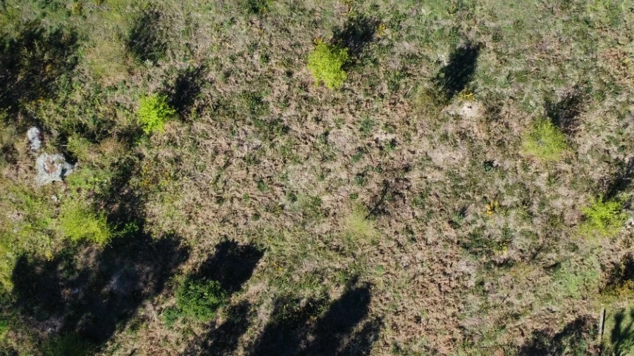 Terreno para Venda em Rio de Loba