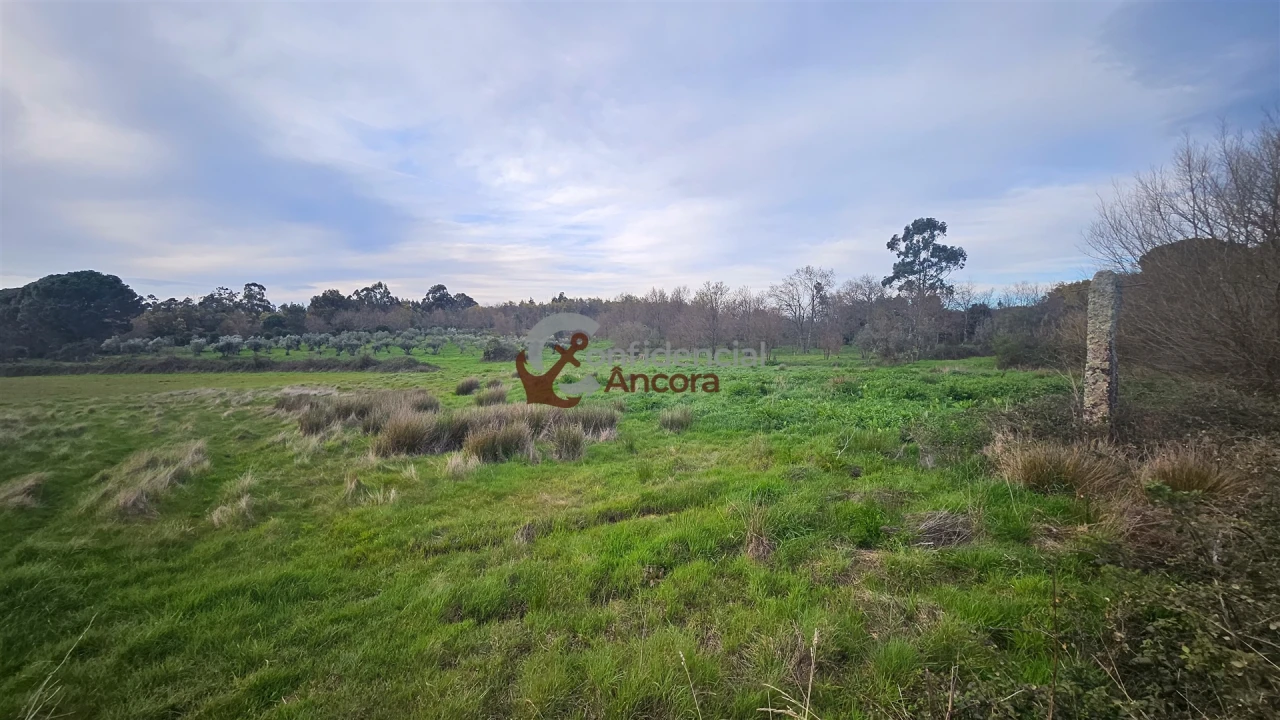 Moradia T2 para Venda em Nespereira Foto 19