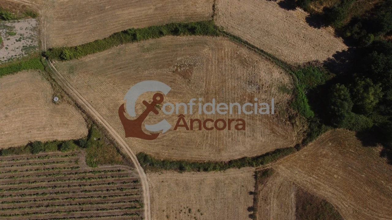 Moradia T2 para Venda em Nespereira Foto 41
