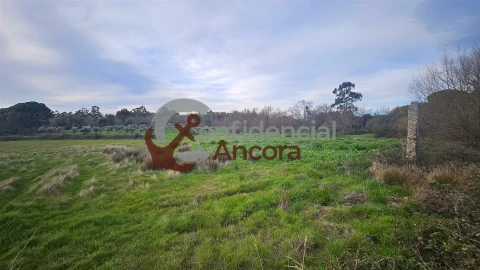 Moradia T2 para Venda em Nespereira