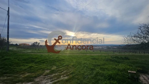 Moradia T2 para Venda em Nespereira